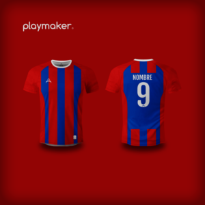 Camiseta Playmaker Rugby [AP]